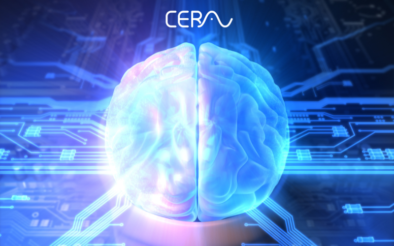 Brain Circuit in blue