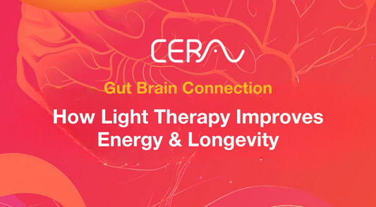 The Gut-Brain Connection: How Light Therapy Improves Energy and Longevity