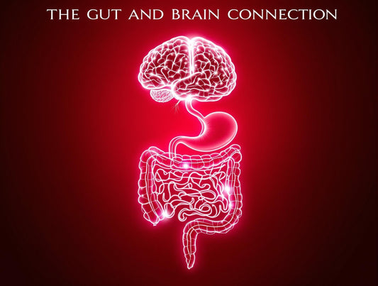 Diagram of the gut-brain axis