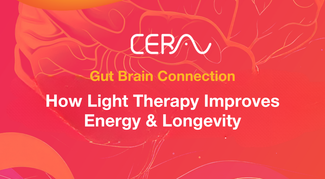 The Gut-Brain Connection: How Light Therapy Improves Energy and Longevity