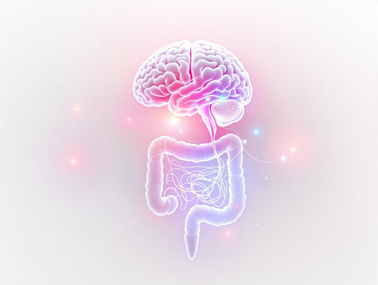 The gut brain diagram pink
