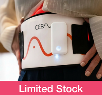 The CERA System (Copy)