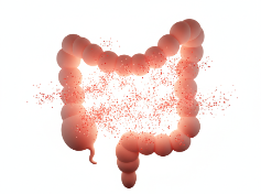 cerathrive exploring light influence on gut microbiome | mood digestion wellbeing
