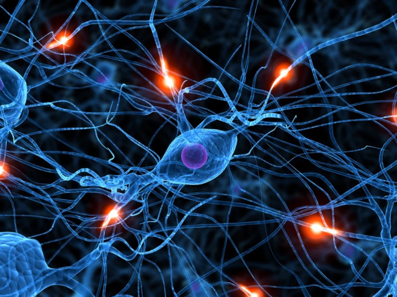 Microscopic illustration of active human neurons and synapses with glowing connections, representing the CeraThrive focus on brain health, nerve communication, and the gut-brain axis.